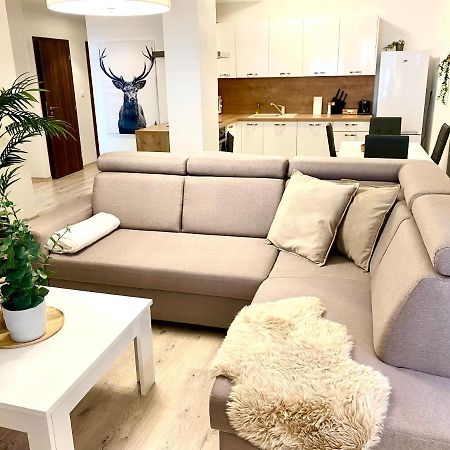 The Elite Suite Downtown A/C & Garage Parking ブラチスラヴァ エクステリア 写真